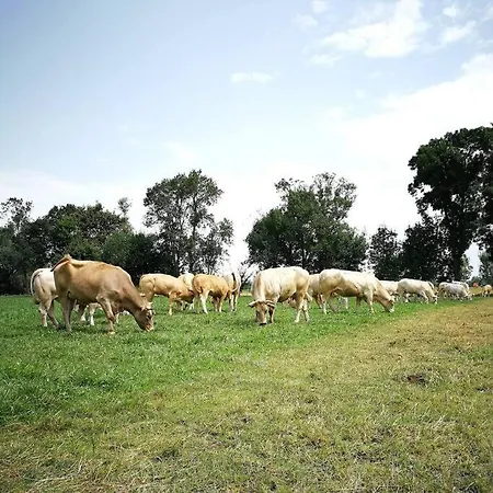 A La Ferme De La Bouriette * Revel (Haute-Garonne)