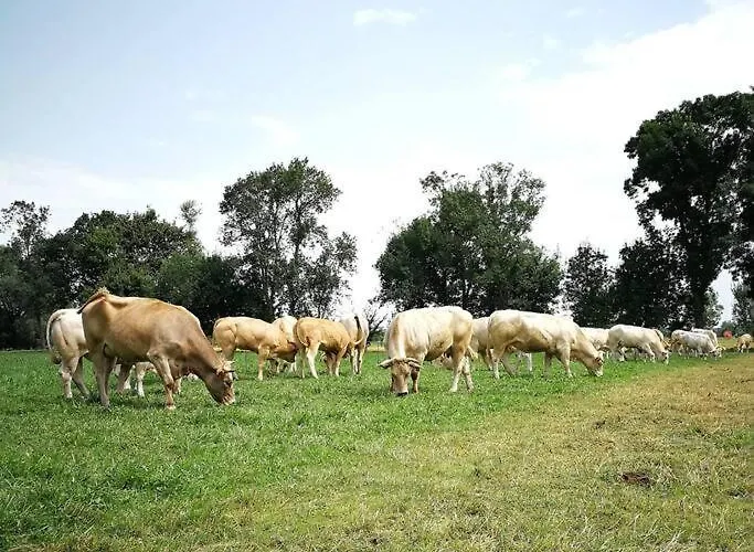 A La Ferme De La Bouriette * רבל