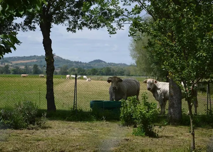 A La Ferme De La Bouriette בית נופש *